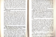 Publikacija_1987_Rukovet-casopis-za-knjizevnost-umetnost-i-drustvena-pitanja-br-5_012