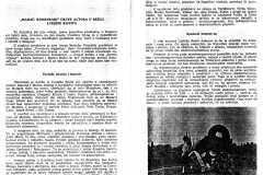 DNEVNIK_NS-141085-MADAC_KOMENTARI