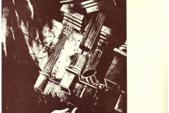 Drzicev-san-1979_13