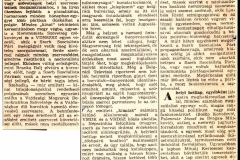 MAGYAR_SZO-120890-PETICIJA-1-2