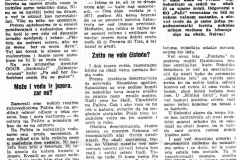 SUBOTICKEN-310787-PALICKO_LETO