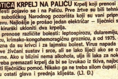 VECERNJI_LIST-KRPELJI_NA_PALICU