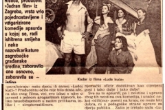vjesnik-070481-luda_kuca